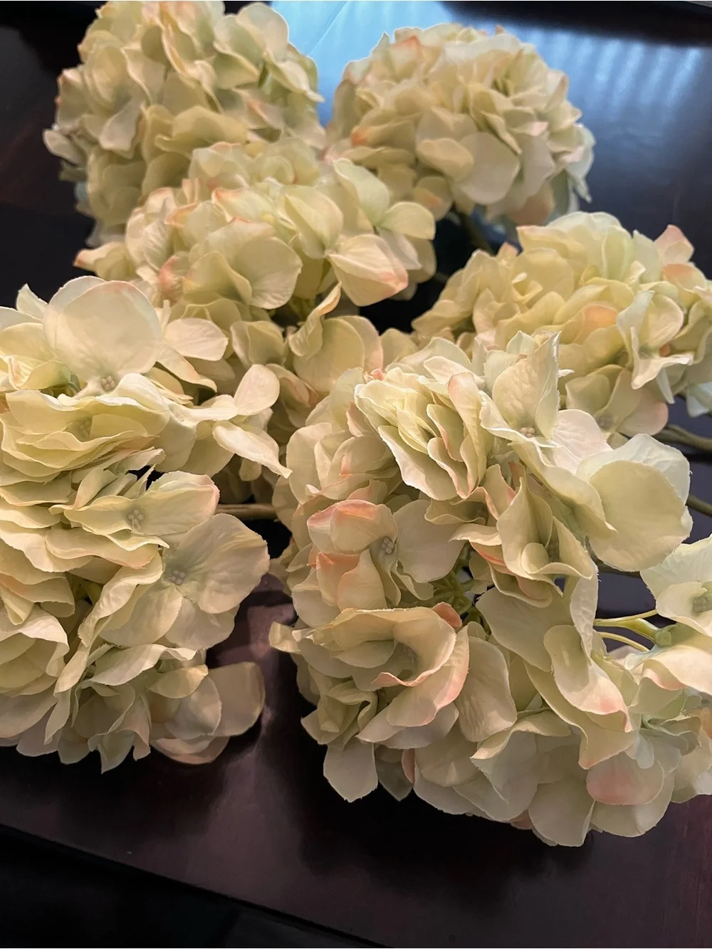 Hydrangea Stem Bundle - Soft Green